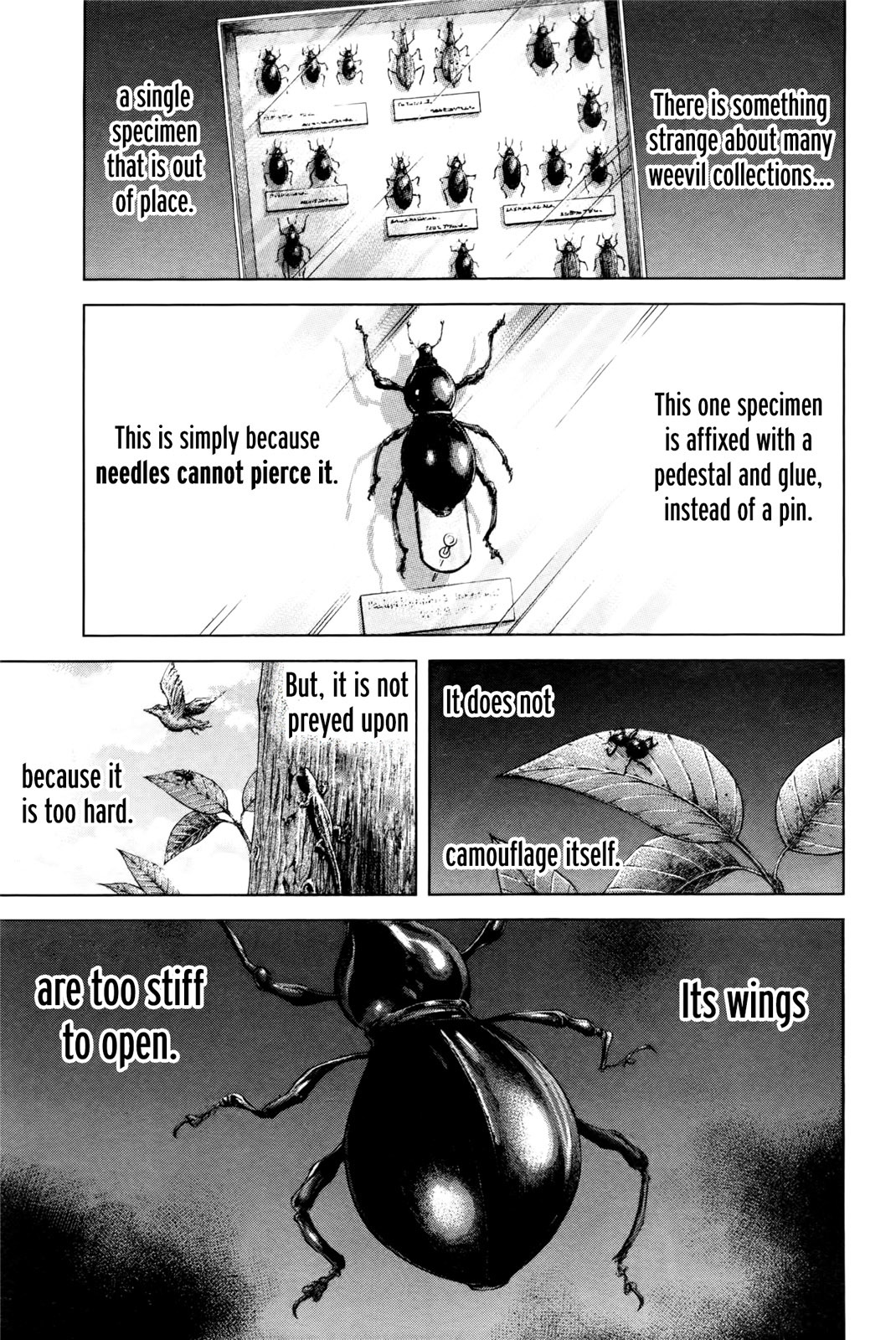 Terra Formars, Chapter 39 image 02